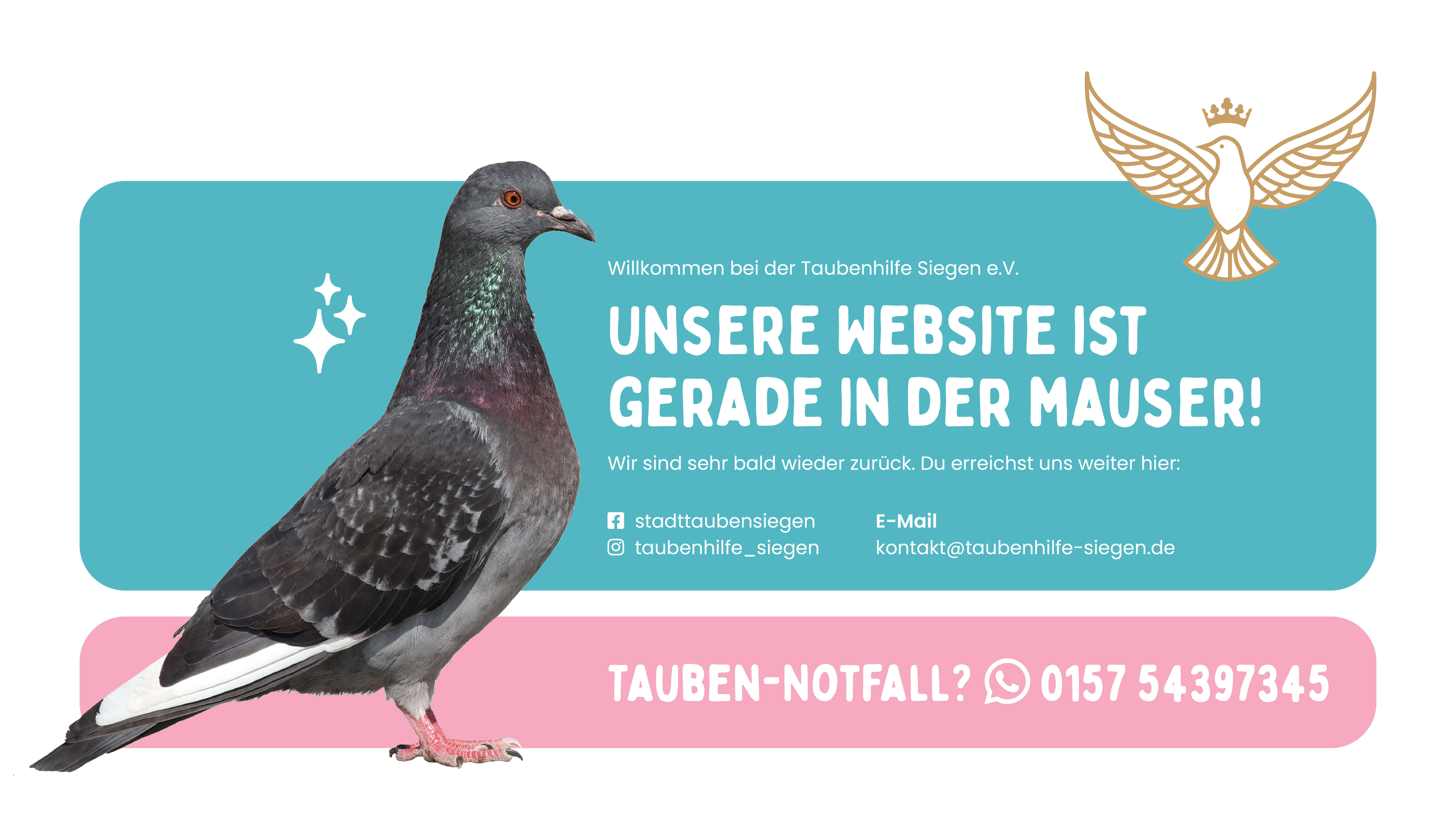 Vorübergehendes Baustellenbild, Notruftelefon: 0157 54397345